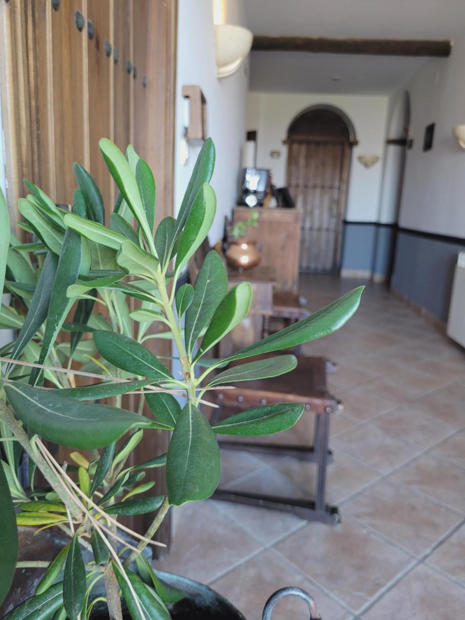 Hotel El Balcon De Las Nieves La Zubia Kültér fotó