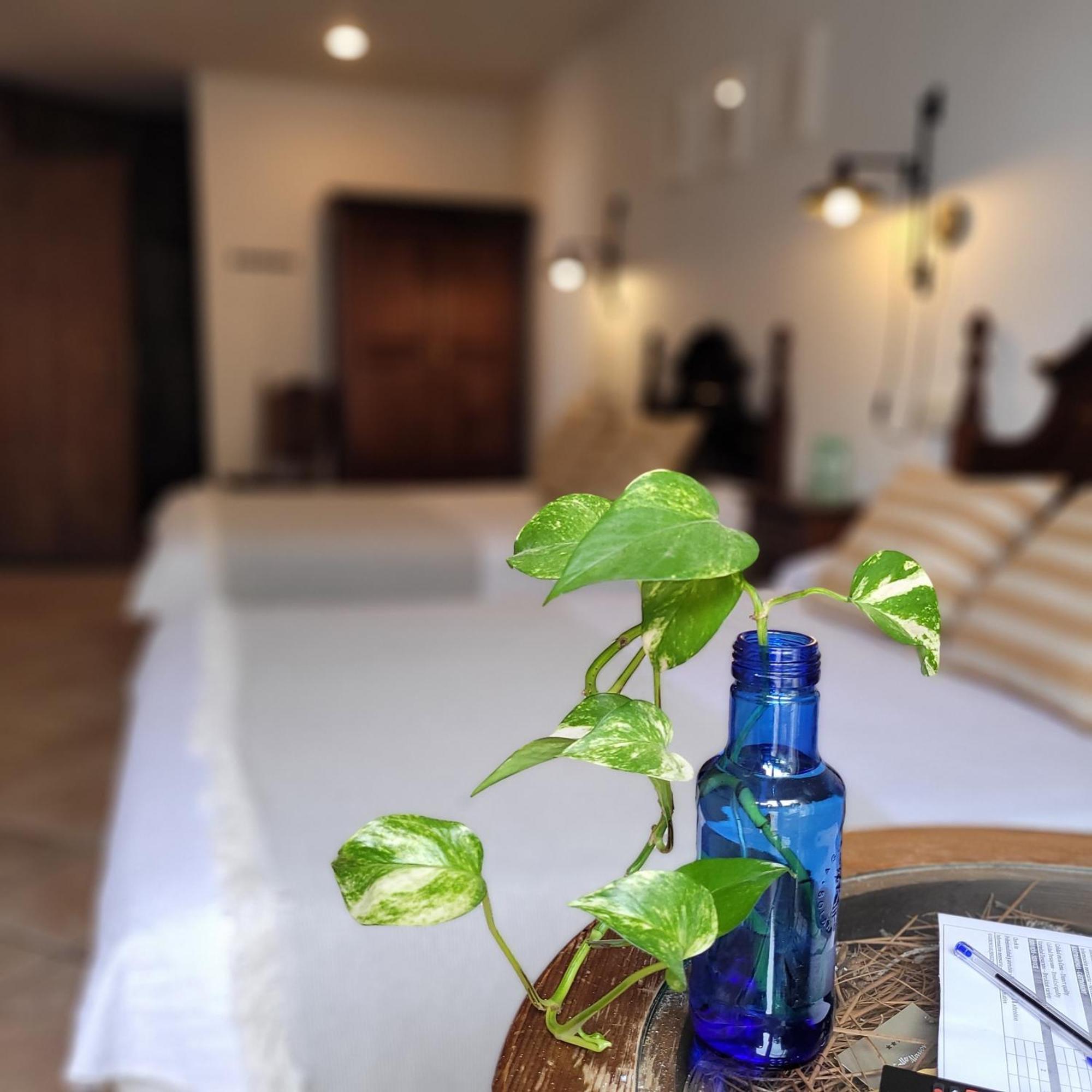 Hotel El Balcon De Las Nieves La Zubia Kültér fotó